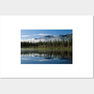 Boreal Forest Along Lake Edge Nutzotin Mountains Posters and Art